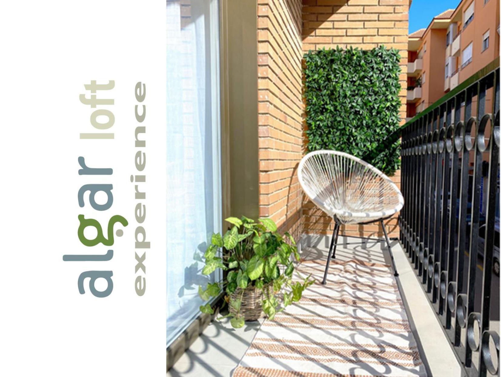 Algar Loft, Diseno Y Climatizacion Appartement Callosa de Ensarriá Buitenkant foto